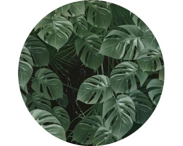 Tapeten Komar D1-023 Selbstklebende Fototapete/Wandtattoo Vlies  - Novel Monstera - Größe 125 x 125 cm