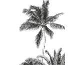 Tapeten Komar IAX4-0011 Fototapeten Vlies  - Retro Palm - Größe 200 x 280 cm