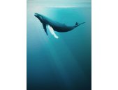 Tapeten Komar IAX4-0045 Fototapeten Vlies  - Artsy Humpback Whale - Größe 200 x 280 cm