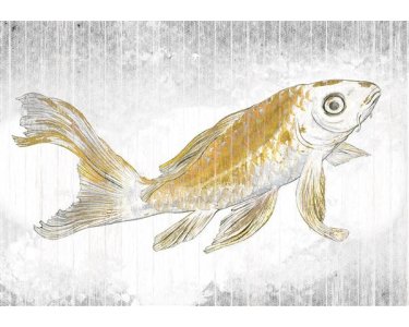 Tapeten Komar RSX8-049 Fototapeten Vlies  - Golden Koi - Größe 400 x 280 cm