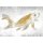 Tapeten Komar RSX8-049 Fototapeten Vlies  - Golden Koi - Größe 400 x 280 cm