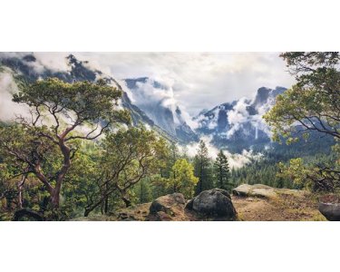 Tapeten Komar SH007-VD1 Fototapeten Vlies  - Unique Paradise - Größe 200 x 100 cm
