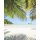 Tapeten Komar SH028-VD2 Fototapeten Vlies  - Under The Palmtree - Größe 200 x 250 cm