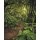 Tapeten Komar SH029-VD2 Fototapeten Vlies  - The Path - Größe 200 x 250 cm