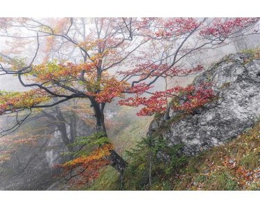 Tapeten Komar SH031-VD3 Fototapeten Vlies  - Euphoria - Größe 300 x 200 cm