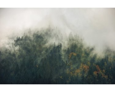Tapeten Komar SH036-VD3 Fototapeten Vlies  - Tales of the Carpathians - Größe 300 x 200 cm