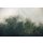 Tapeten Komar SH036-VD3 Fototapeten Vlies  - Tales of the Carpathians - Größe 300 x 200 cm
