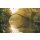 Tapeten Komar SH037-VD4 Fototapeten Vlies  - Devils Bridge - Größe 400 x 250 cm