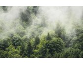 Tapeten Komar SH061-VD4 Fototapeten Vlies  - Forest Land - Größe 400 x 250 cm