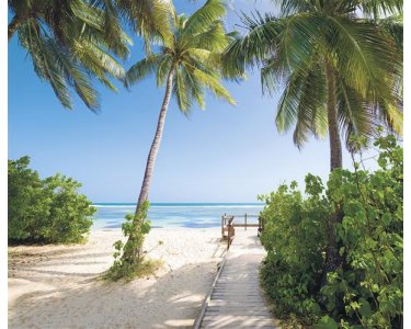 Tapeten Komar SH088-VD3 Fototapeten Vlies  - Palmy Beach - Größe 300 x 250 cm