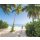 Tapeten Komar SH088-VD3 Fototapeten Vlies  - Palmy Beach - Größe 300 x 250 cm