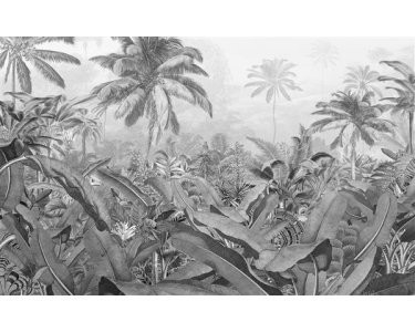 Tapeten Komar P013-VD4 Fototapeten Vlies  - Amazonia Black and White - Größe 400 x 250 cm
