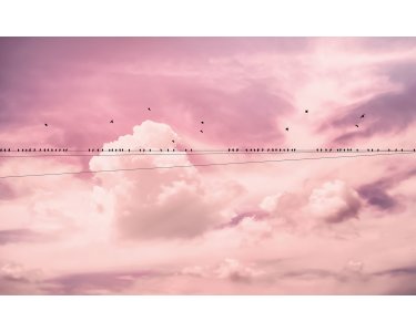 Tapeten Komar P017-VD4 Fototapeten Vlies  - Cloud Wire - Größe 400 x 250 cm