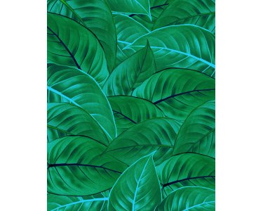 Tapeten Komar P044-VD2 Fototapeten Vlies  - Jungle Leaves - Größe 200 x 250 cm