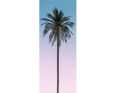 Tapeten Komar P124-VD1 Fototapeten Vlies  - Skyhigh Panel - Größe 100 x 250 cm