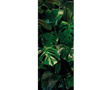 Tapeten Komar P333-VD1 Fototapeten Vlies  - Tropical Wall Panel - Größe 100 x 250 cm