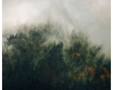 Tapeten Komar PSH036-VD3 Fototapeten Vlies  - Tales of the Carpathians - Größe 300 x 250 cm