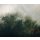 Tapeten Komar PSH036-VD3 Fototapeten Vlies  - Tales of the Carpathians - Größe 300 x 250 cm