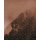 Tapeten Komar PSH099-VD2 Fototapeten Vlies  - Golden Grid - Größe 200 x 250 cm