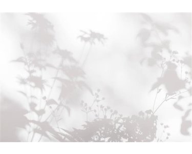 AS Digital Wandbilder Walls by Patel 3  shadow room 2