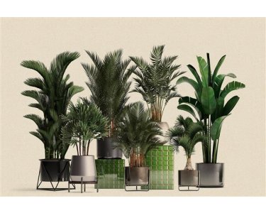 AS Digital Wandbilder Walls by Patel 3  plant shop 1