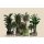 AS Digital Wandbilder Walls by Patel 3  plant shop 1