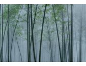AS Digital Wandbilder Walls by Patel 3  in the bamboo2
