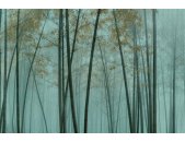 AS Digital Wandbilder Walls by Patel 3  in the bamboo3