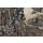 AS Digital Wandbilder Walls by Patel 3  gobelingaller2