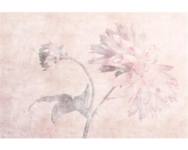 AS Digital Wandbilder Walls by Patel 3  morning room 2