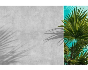 AS Digital Wandbilder Walls by Patel 3  tunis 2