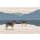 AS Digital Wandbilder Walls by Patel 3  yukon 1