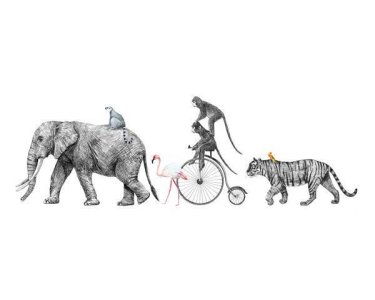 AS Digital Wandbilder Designwalls 2  AnimalQueue