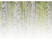 AS Digital Wandbilder Designwalls 2  BirchForest2