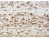 AS Digital Wandbilder Designwalls 2  Industrial Wall