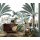 Tapeten Erismann Elle Decoration 3 2255-10 Digitaltapete