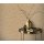 Tapeten Erismann Elle Decoration 3 10329-30 Vinyltapete auf Vlies