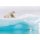 Komar Fototapeten 8-536 Papier Fototapete - Arctic Polar Bear - Größe 368 x 254 cm