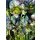 Komar Fototapeten 4-915 Papier Fototapete - Aphrodite´s Garden - Größe 184 x 254 cm
