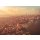 Komar Fototapeten 4-987 Papier Fototapete - FotoapeteManhattan - Größe 254 x 184 cm