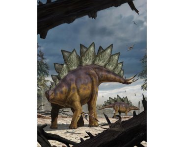 Komar Fototapeten XXL2-530 Vlies Fototapete - Stegosaurus - Größe 184 x 248 cm