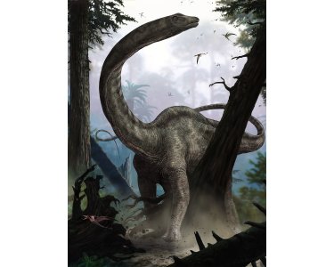 Komar Fototapeten XXL2-531 Vlies Fototapete - Rebbachisaurus - Größe 184 x 248 cm