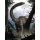 Komar Fototapeten XXL2-531 Vlies Fototapete - Rebbachisaurus - Größe 184 x 248 cm