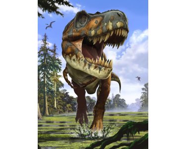 Komar Fototapeten XXL2-532 Vlies Fototapete - Tyrannosaurus Rex - Größe 184 x 248 cm