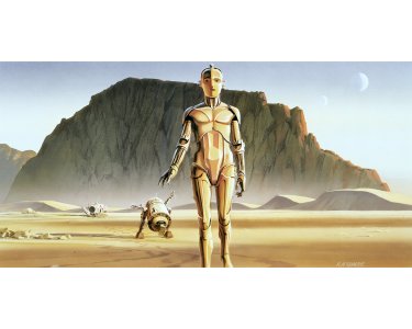 Komar Fototapeten DX10-051 Vlies Fototapete - Star Wars Classic RMQ Droids - Größe 500 x 250 cm