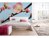 Komar Fototapeten V7-753 Vlies Fototapete - Peach Blossom - Größe 350 x 250 cm