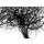 Komar Fototapeten V7-758 Vlies Fototapete - Curls - Größe 350 x 250 cm