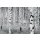 Komar Fototapeten V8-724 Vlies Fototapete - Woods - Größe 400 x 270 cm