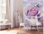 Komar Fototapeten X4-020 Vlies Fototapete - Delicate Rose...