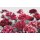 Komar Fototapeten X8-002 Vlies Fototapete - Temptation - Größe 400 x 260 cm